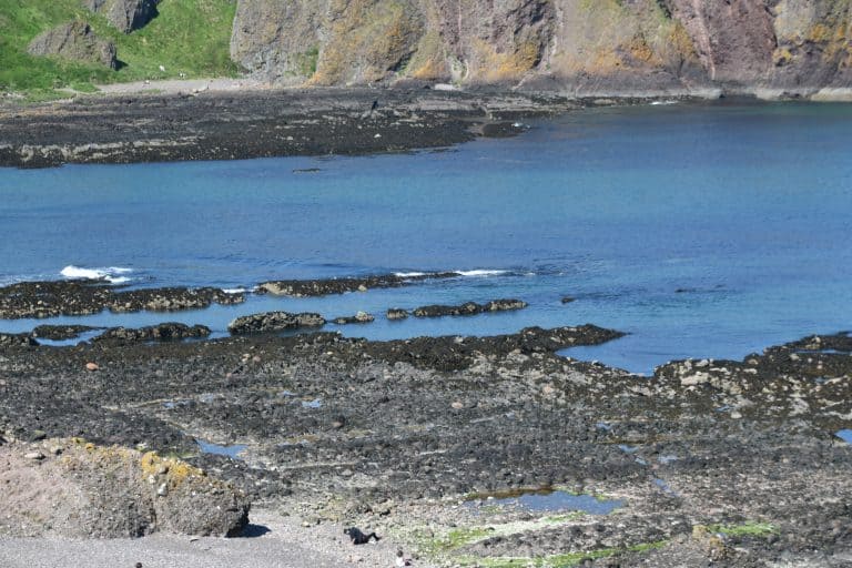 Stonehaven and vicinity (36) (Stonehaven)