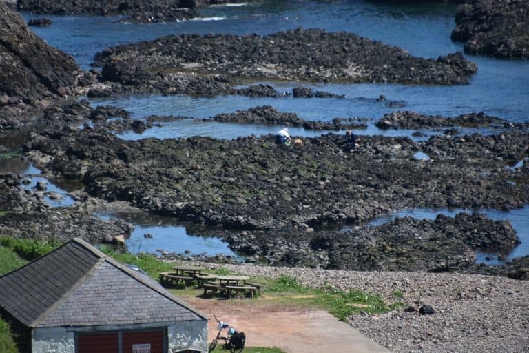 Stonehaven and vicinity (4) (ストーンヘイブン)