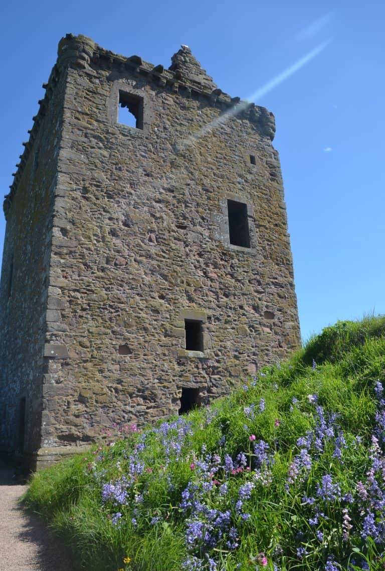 Stonehaven and vicinity (40) (Stonehaven)