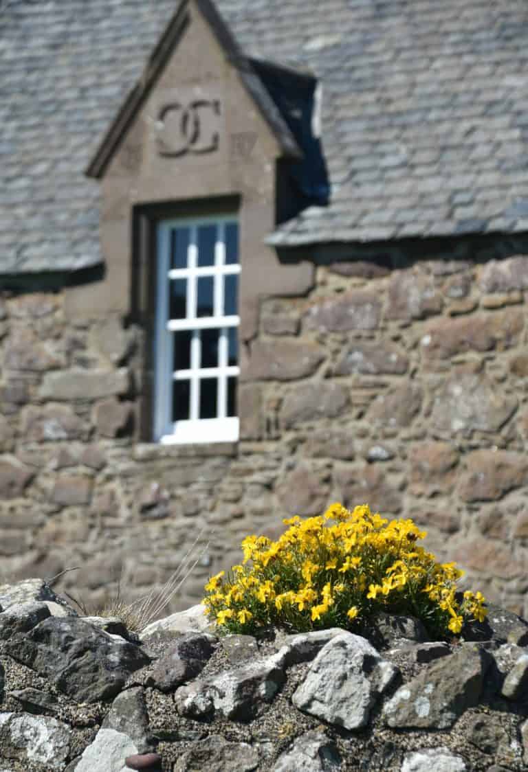 Stonehaven and vicinity (60) (Stonehaven)