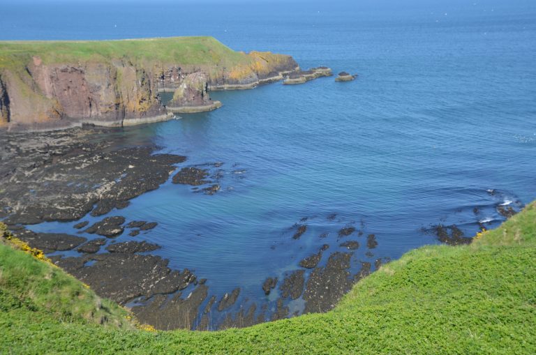 Stonehaven and vicinity (68) (ストーンヘイブン)