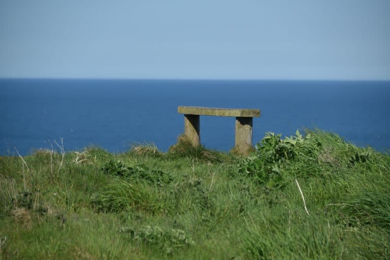Stonehaven and vicinity (71) (Stonehaven)