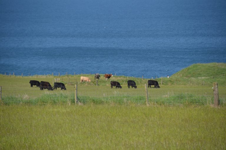 Stonehaven and vicinity (74) (Stonehaven)