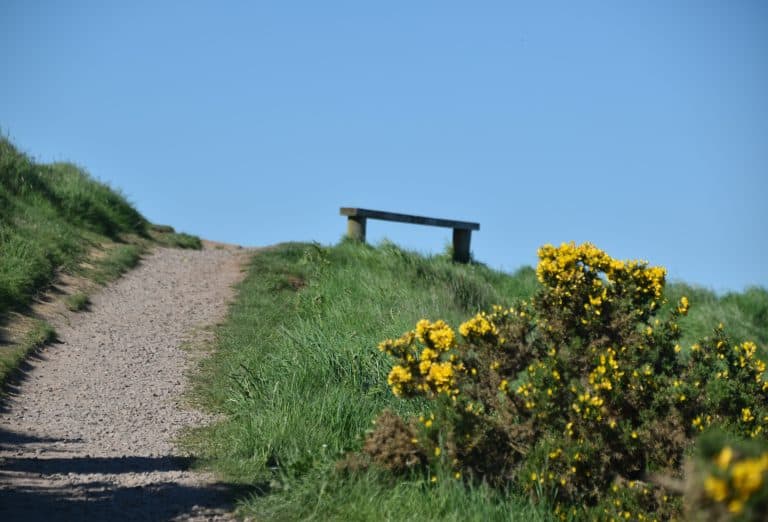 Stonehaven and vicinity (76) (Stonehaven)
