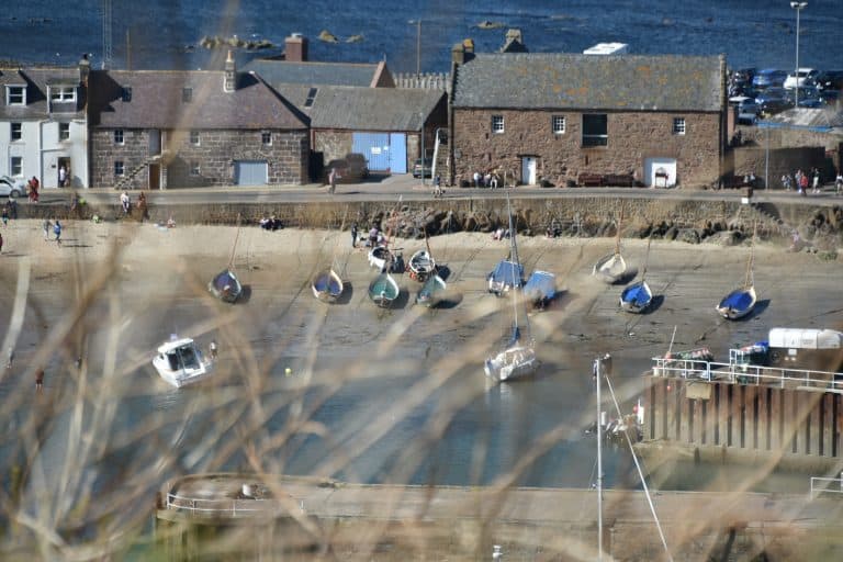 Stonehaven and vicinity (81) (ストーンヘイブン)