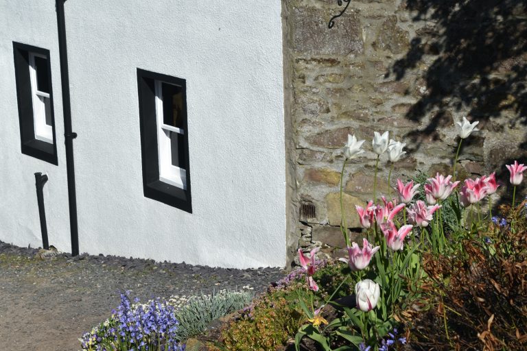 Stonehaven and vicinity (86) (Stonehaven)