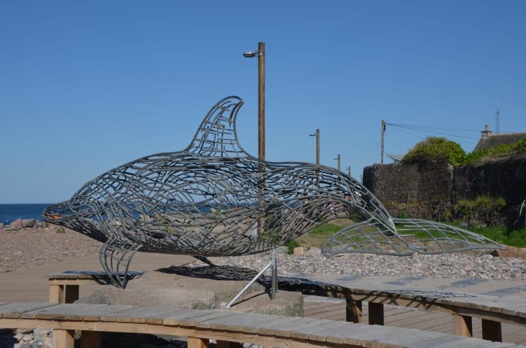 Stonehaven and vicinity (88) (Stonehaven)