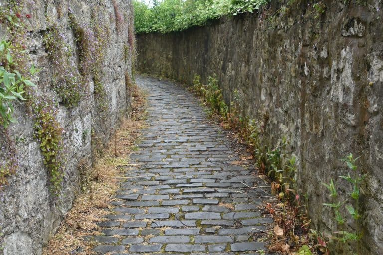 Culross in Fife (21) (Fife)