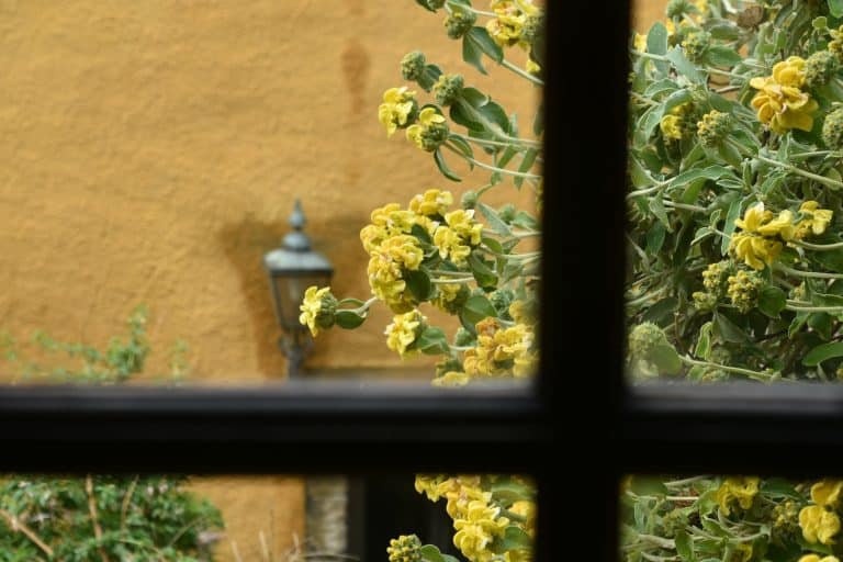 Culross in Fife (45) (ファイフ)