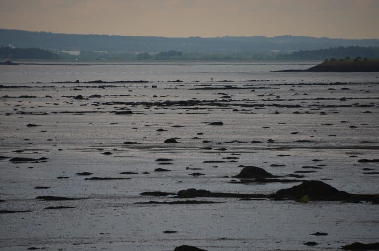 Culross in Fife (59) (Fife)