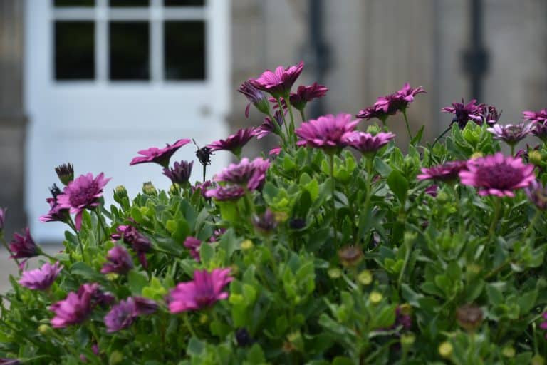 Holyroodhouse Palace (41)