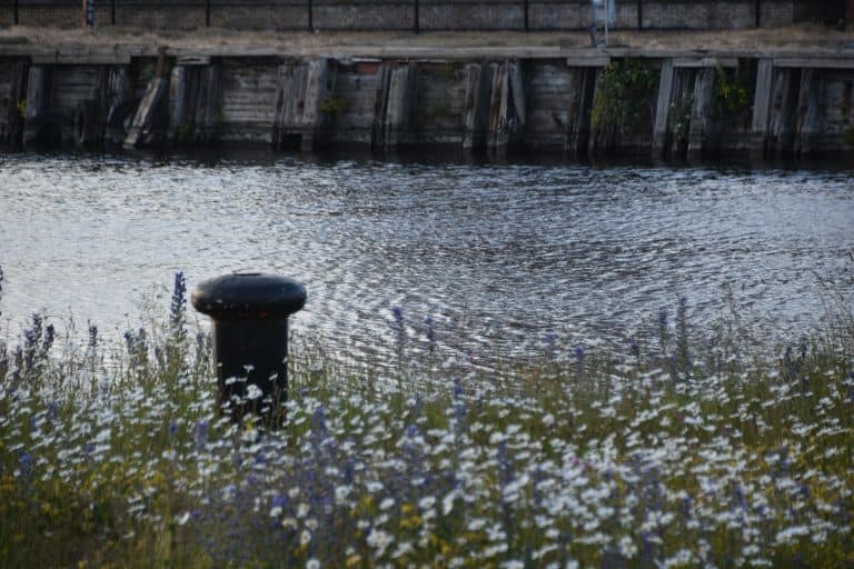Leith in Edinburgh (13)