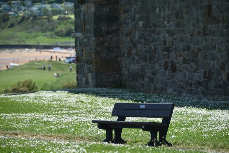 St. Andrews (13) (Fife)