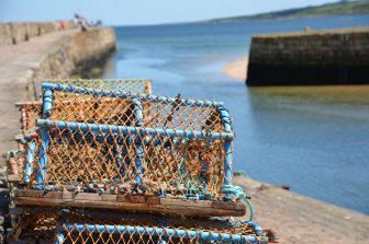 St. Andrews-angostas-pescado-gira-reino-Fife-Escocia