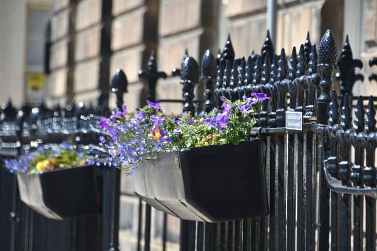 St. Andrews (31) (Fife)