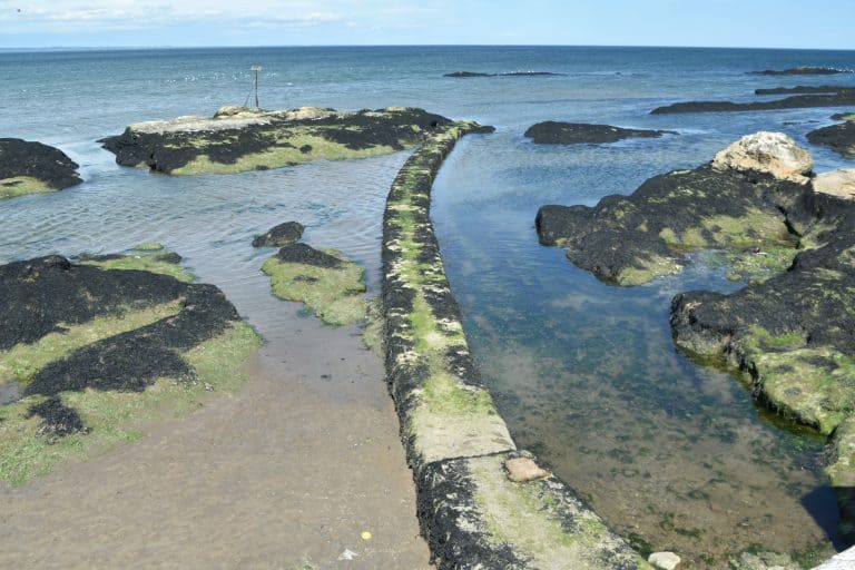 St. Andrews (47) (Fife)
