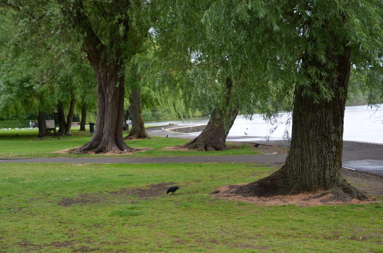 Falkirk and vicinity (27) (フォルカーク)