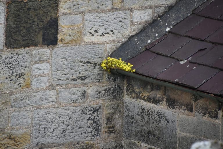 Falkirk and vicinity (40) (フォルカーク)