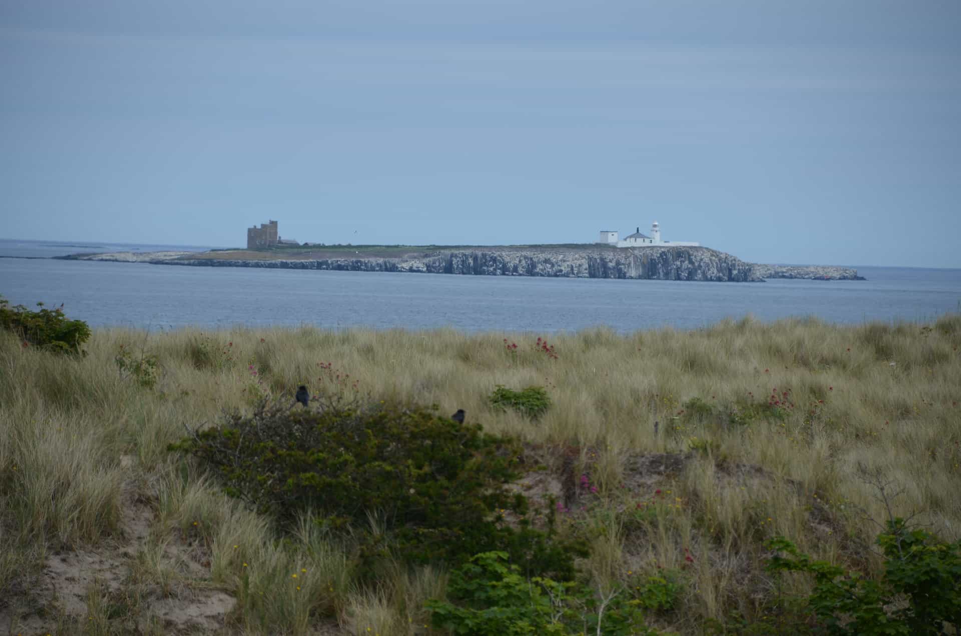 Northumberland Bambourgh Castle (3)