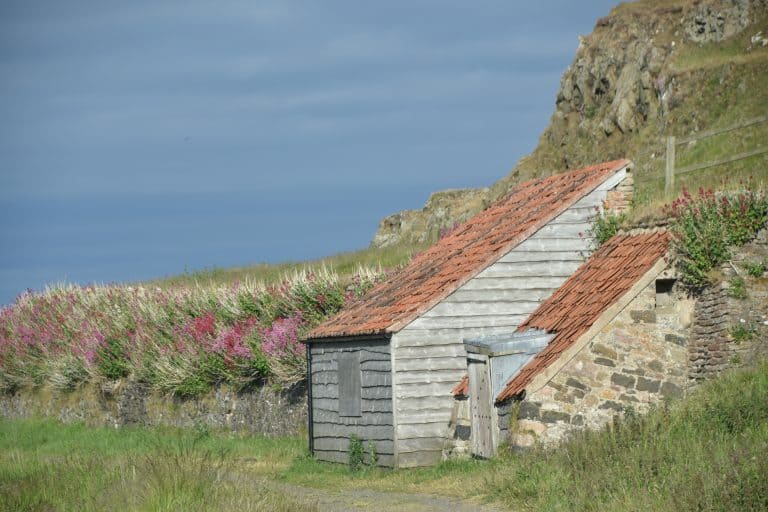 Northumberland Holy Island (17) (Northumberland)
