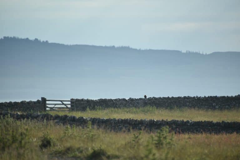 Northumberland Holy Island (18) (Northumberland)