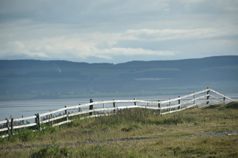 Northumberland Holy Island (19) (Northumberland)