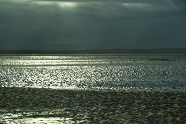 Northumberland Holy Island (25) (Northumberland)