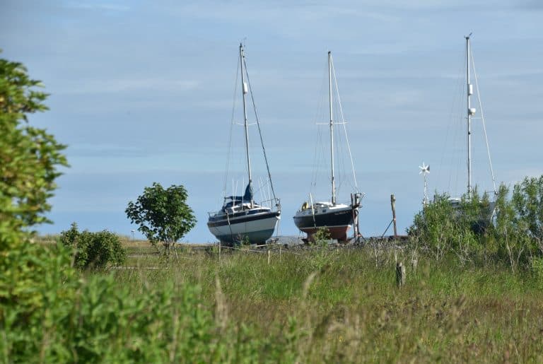 Northumberland Holy Island (30) (Northumberland)