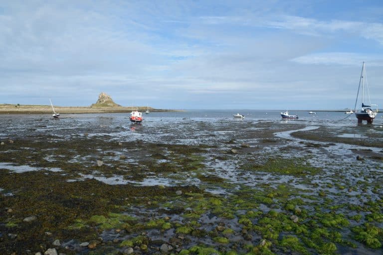 Northumberland Holy Island (32) (Northumberland)