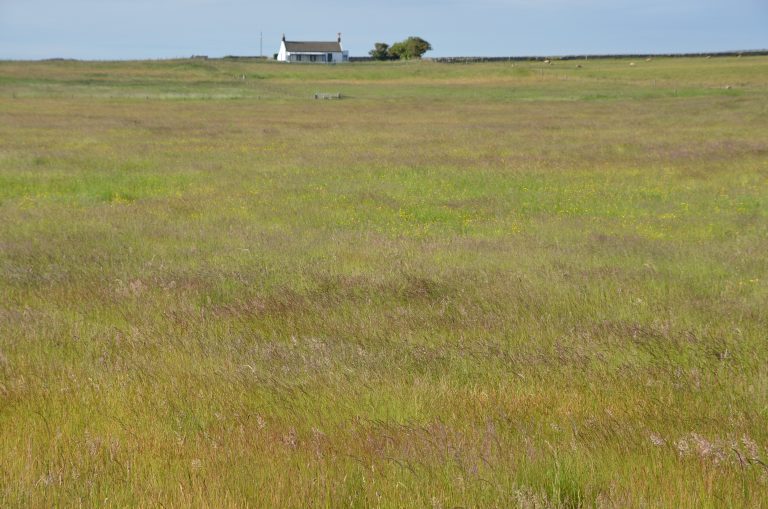 Northumberland Holy Island (7) (Northumberland)