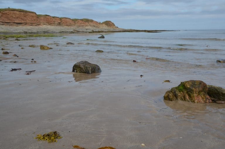 Northumberland beach (2) (Northumberland)