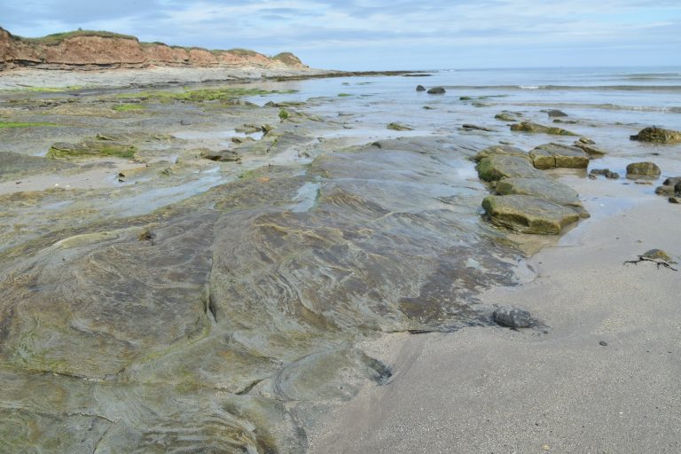 Northumberland beach (4) (Northumberland)