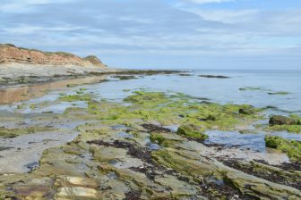 la spiaggia vicino a Seahouses