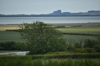 the view from the restaurant The Barn at Beal in Northumberland