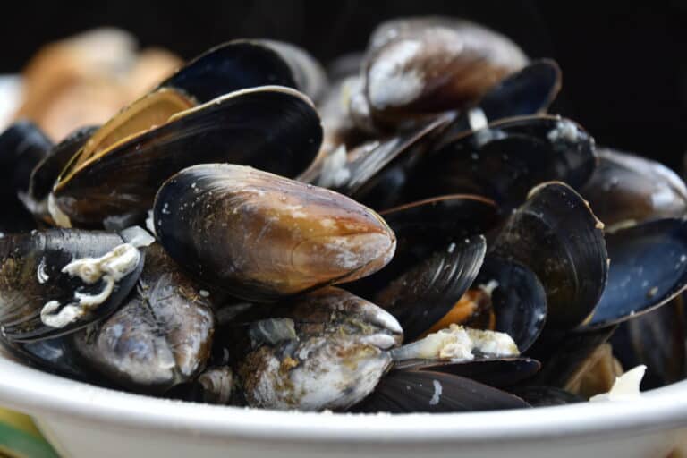 L’ultimo giorno abbiamo cenato in un ristorante a Leith