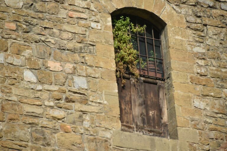 Firenze 2021 (127)