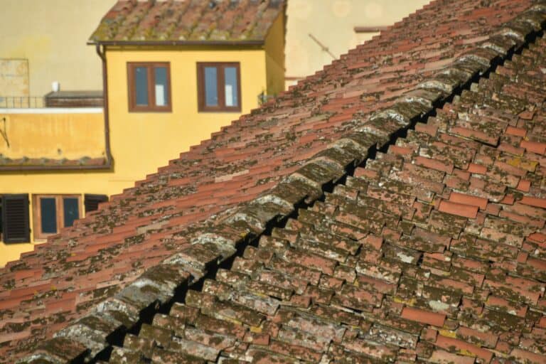 Firenze 2021 (171)