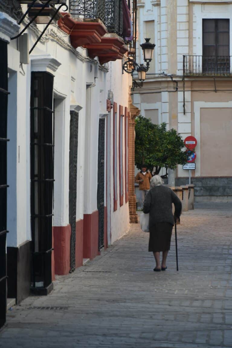 Carmona 2021 (105) (Carmona) (Andalusia)