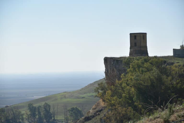 Carmona 2021 (112) (Carmona) (Andalucía)