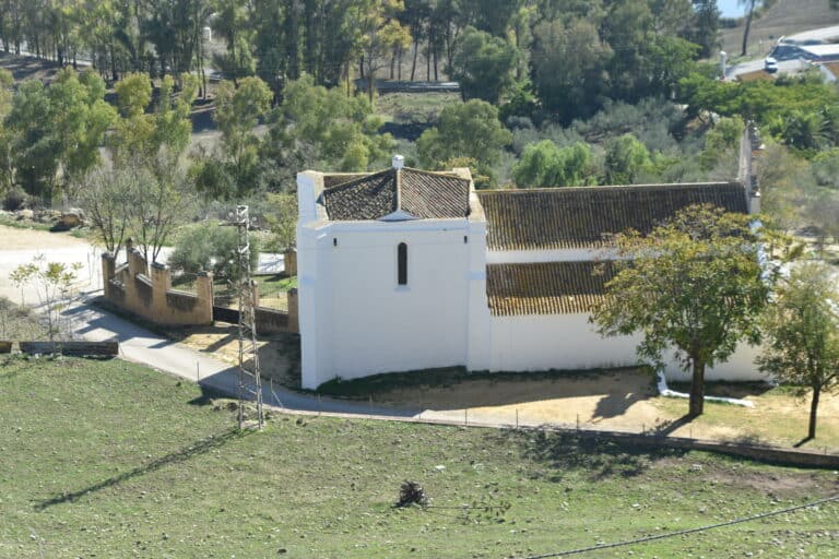 Carmona 2021 (114) (Carmona) (Andalucía)