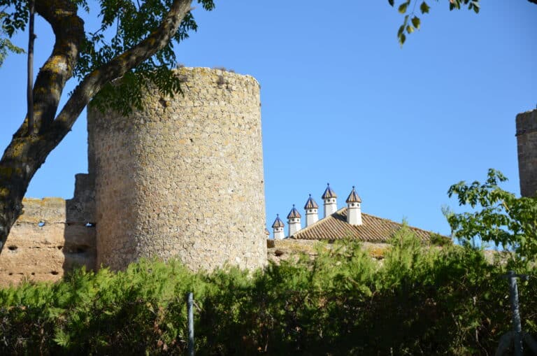 Carmona 2021 (123) (Carmona) (Andalusia)