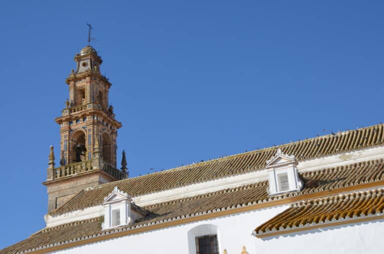 Carmona 2021 (133) (Carmona) (Andalusia)