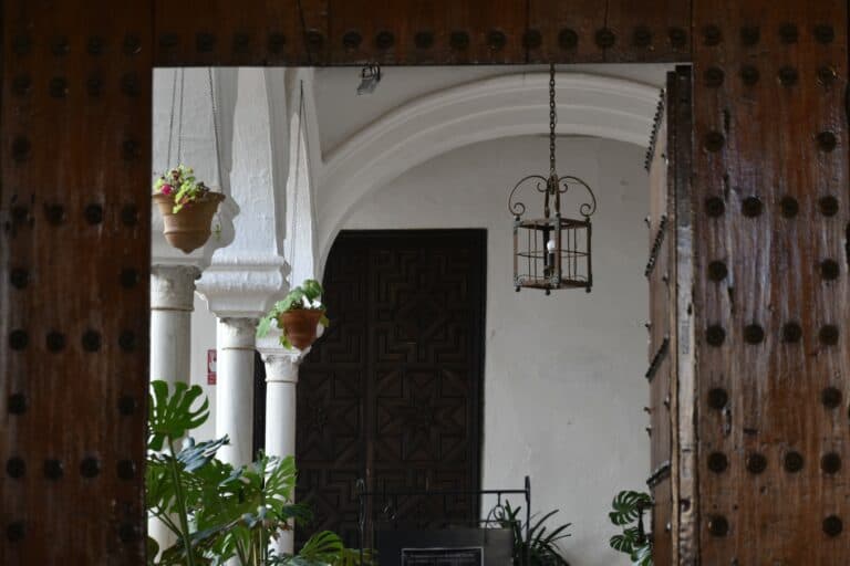 Carmona 2021 (137) (Carmona) (Andalusia)