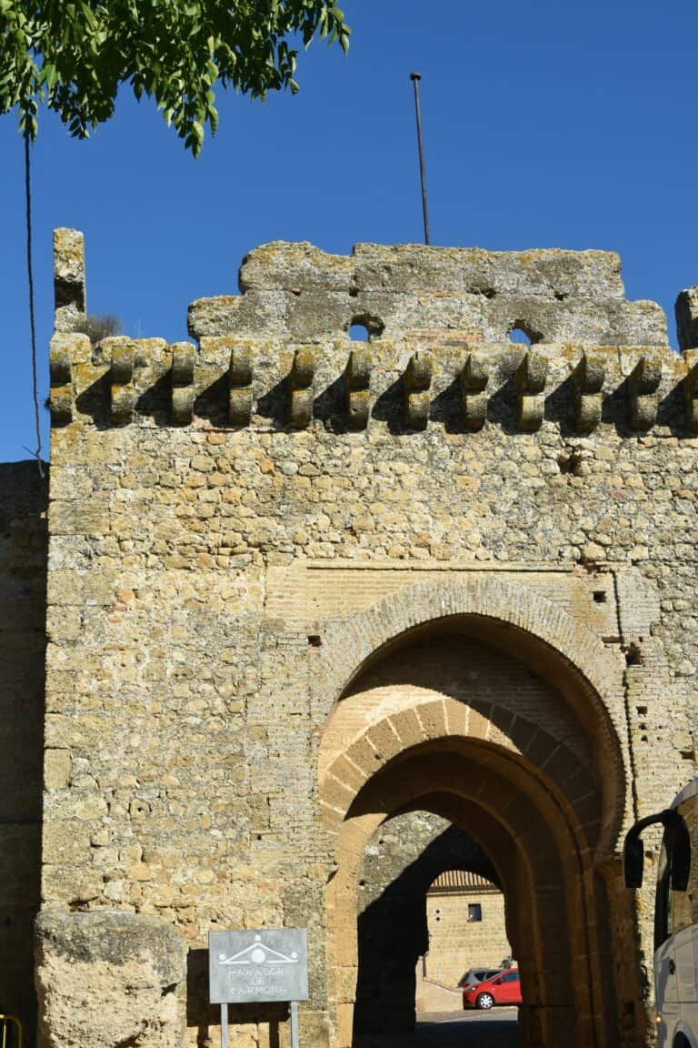 Carmona 2021 (139) (Carmona) (Andalusia)