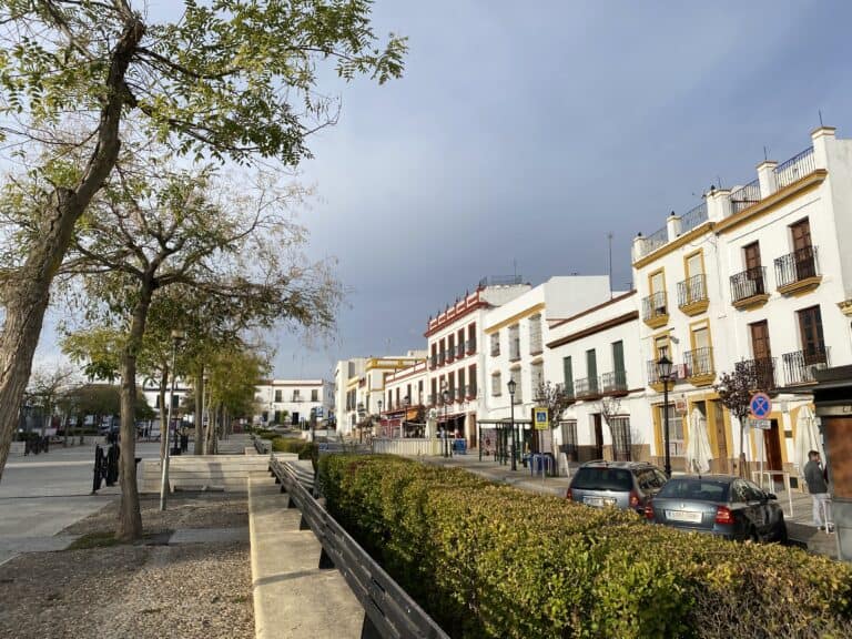 Carmona 2021 (140) (Carmona) (Andalusia)