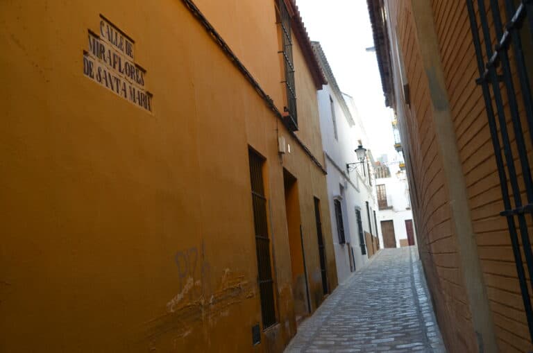 Carmona 2021 (39) (Carmona) (Andalusia)