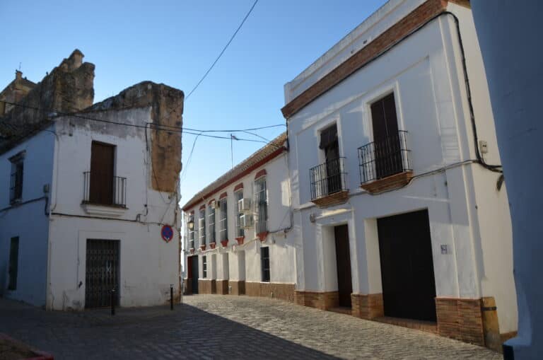 Carmona 2021 (41) (Carmona) (Andalusia)