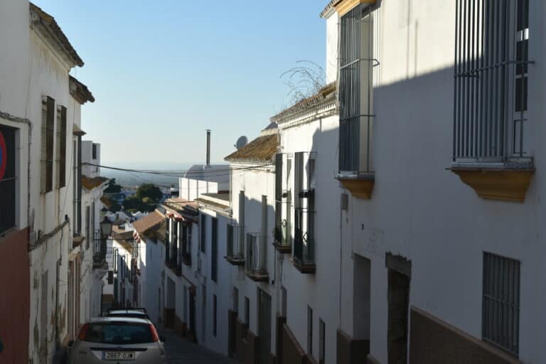 Carmona 2021 (43) (Carmona) (Andalusia)