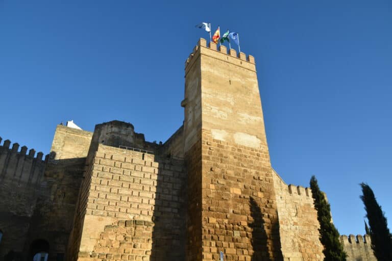 Carmona 2021 (45) (Carmona) (Andalusia)