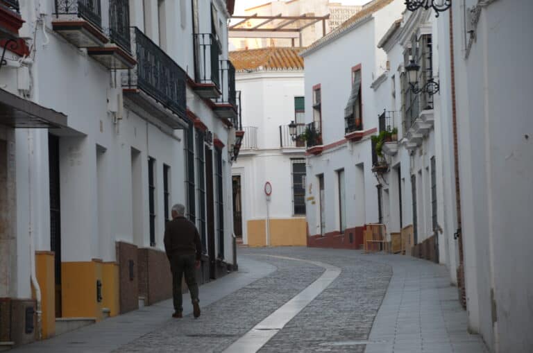 Carmona 2021 (51) (Carmona) (Andalusia)